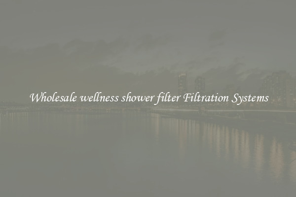 Wholesale wellness shower filter Filtration Systems