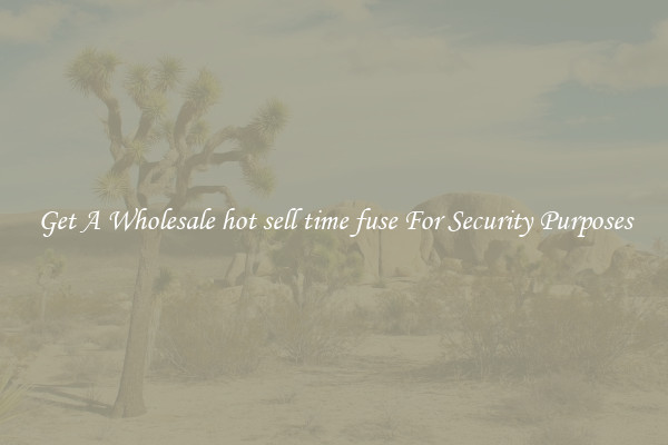Get A Wholesale hot sell time fuse For Security Purposes