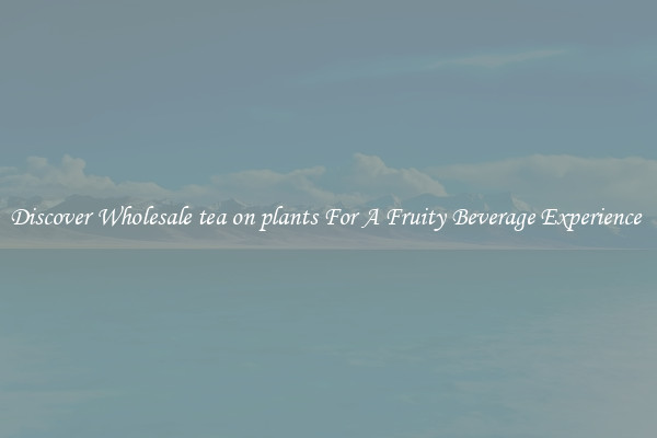 Discover Wholesale tea on plants For A Fruity Beverage Experience 
