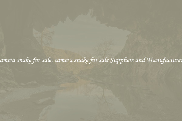 camera snake for sale, camera snake for sale Suppliers and Manufacturers