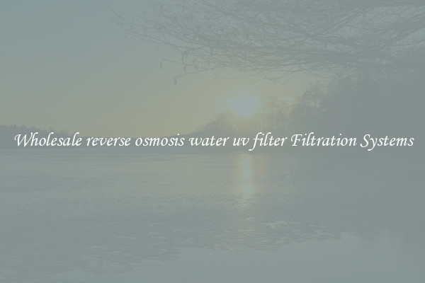 Wholesale reverse osmosis water uv filter Filtration Systems