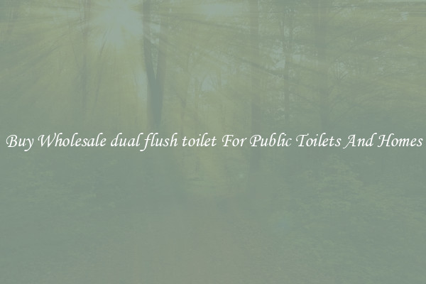 Buy Wholesale dual flush toilet For Public Toilets And Homes