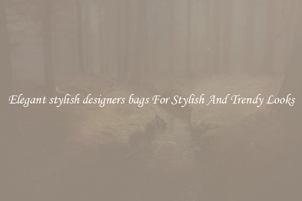 Elegant stylish designers bags For Stylish And Trendy Looks