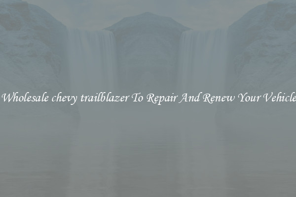 Wholesale chevy trailblazer To Repair And Renew Your Vehicle