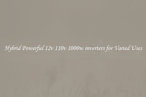 Hybrid Powerful 12v 110v 1000w inverters for Varied Uses