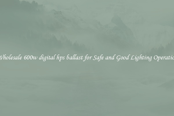Wholesale 600w digital hps ballast for Safe and Good Lighting Operation