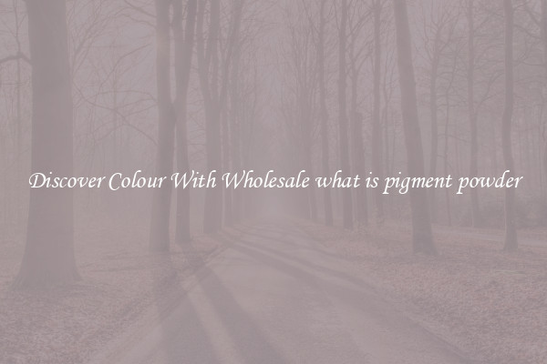 Discover Colour With Wholesale what is pigment powder