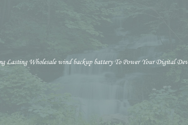 Long Lasting Wholesale wind backup battery To Power Your Digital Devices