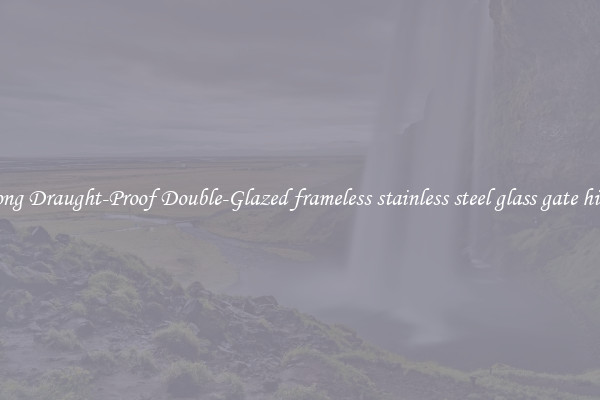 Strong Draught-Proof Double-Glazed frameless stainless steel glass gate hinge 