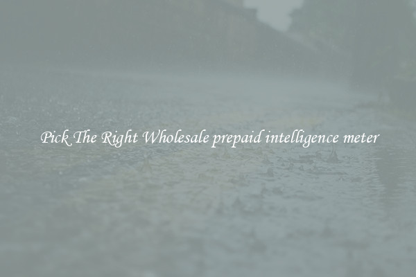 Pick The Right Wholesale prepaid intelligence meter