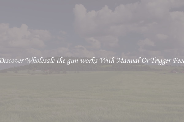 Discover Wholesale the gun works With Manual Or Trigger Feed