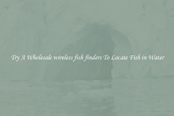 Try A Wholesale wireless fish finders To Locate Fish in Water