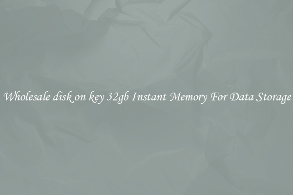 Wholesale disk on key 32gb Instant Memory For Data Storage