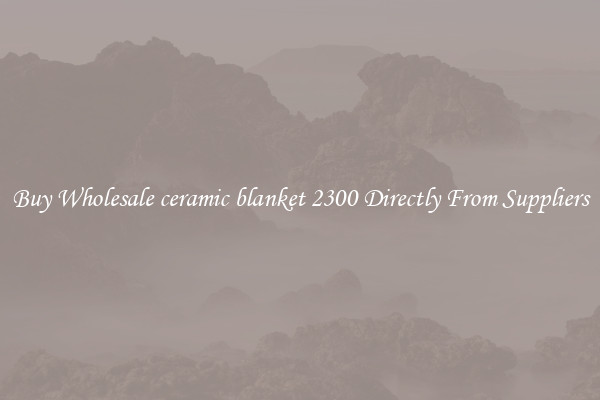 Buy Wholesale ceramic blanket 2300 Directly From Suppliers