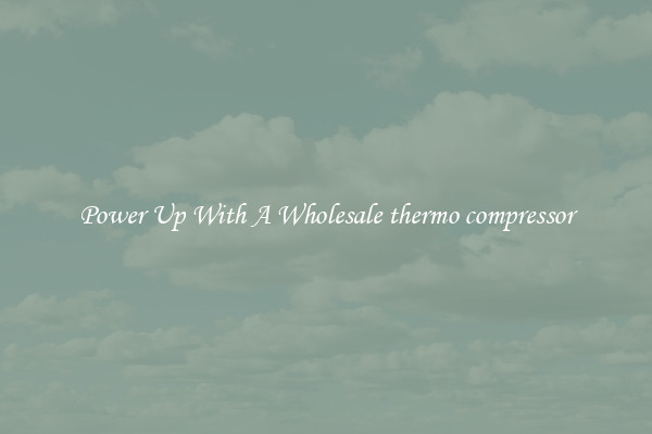 Power Up With A Wholesale thermo compressor