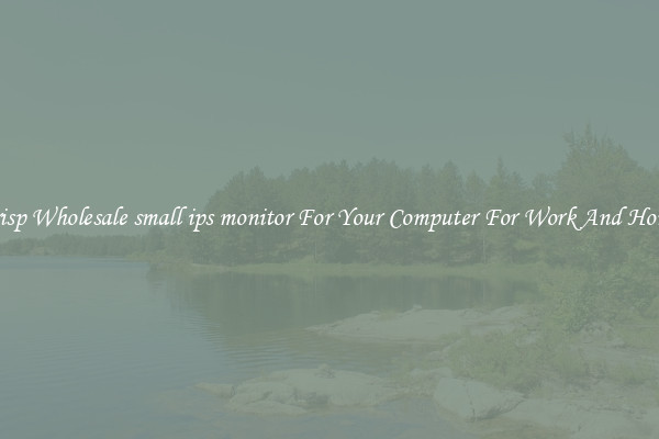 Crisp Wholesale small ips monitor For Your Computer For Work And Home