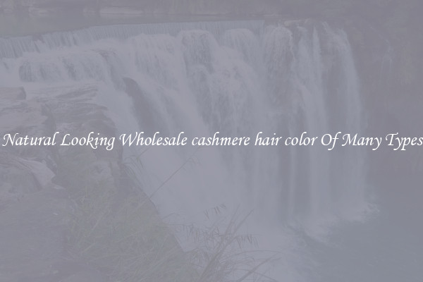 Natural Looking Wholesale cashmere hair color Of Many Types